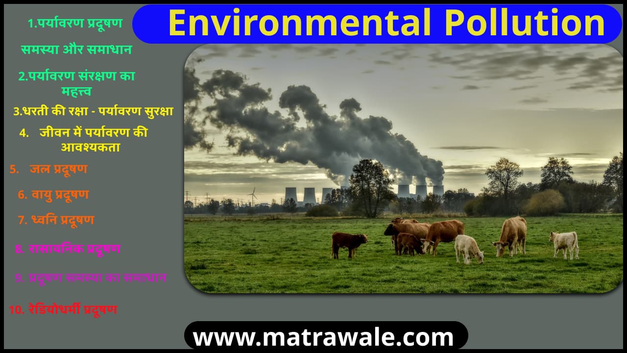 environmental pollution